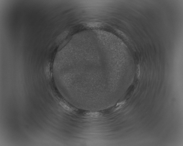 X0000073390428200608181008
