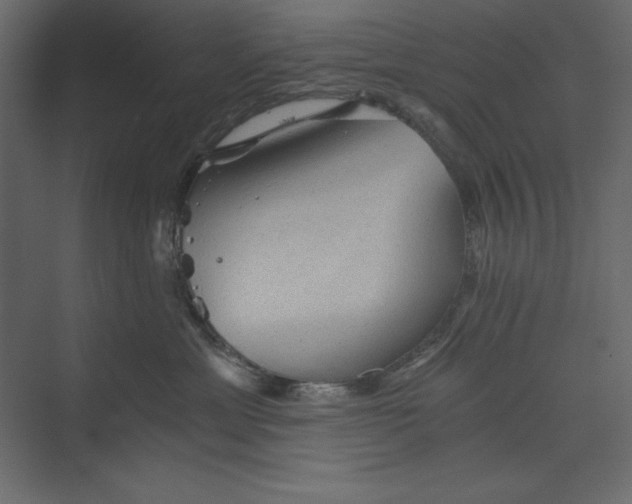X0000073390429200608181008