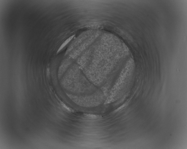 X0000073390432200608181008