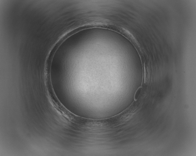 X0000073390435200608181007