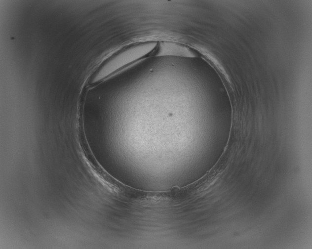X0000073390437200608181007