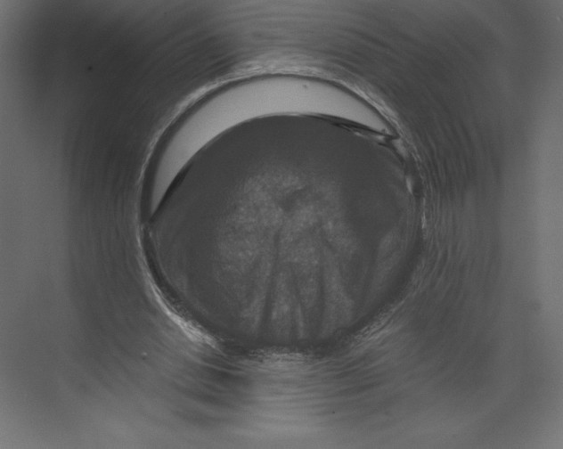 X0000073390438200608181007