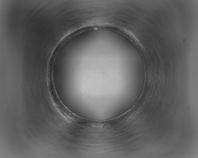 X0000073390439200608181007