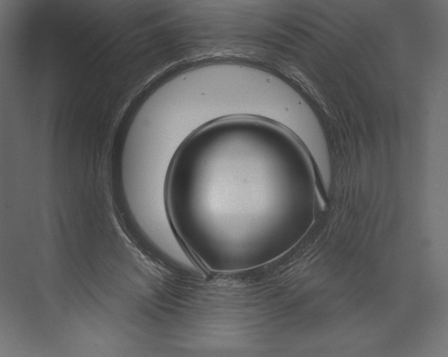 X0000073390444200608181007
