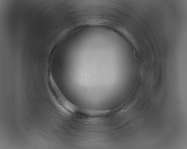 X0000073390445200608181007
