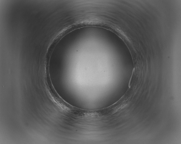 X0000073390446200608181007