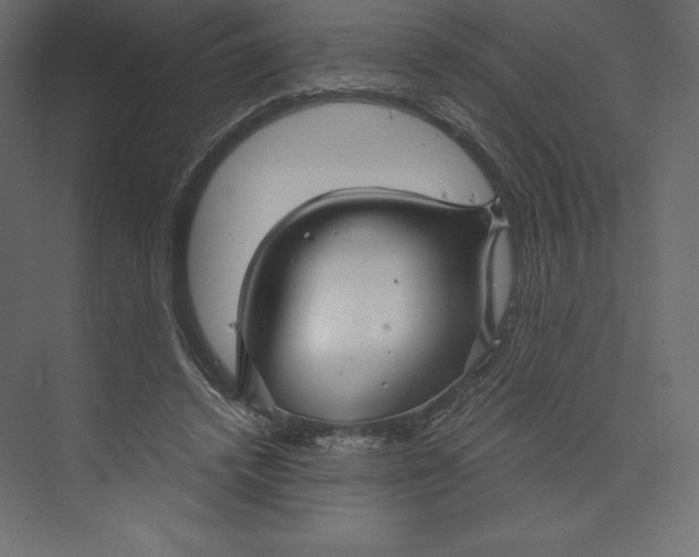 X0000073390448200608181007