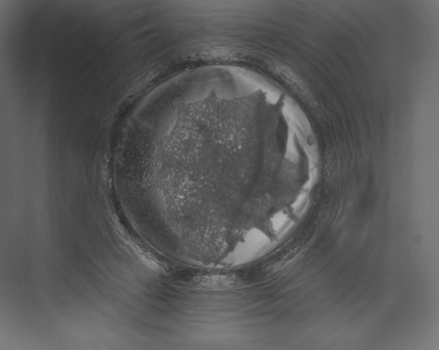 X0000073390449200608181008