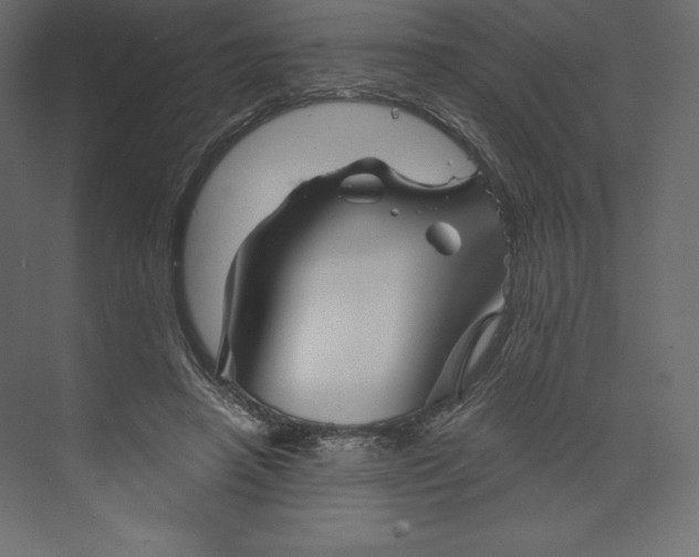 X0000073390450200608181008