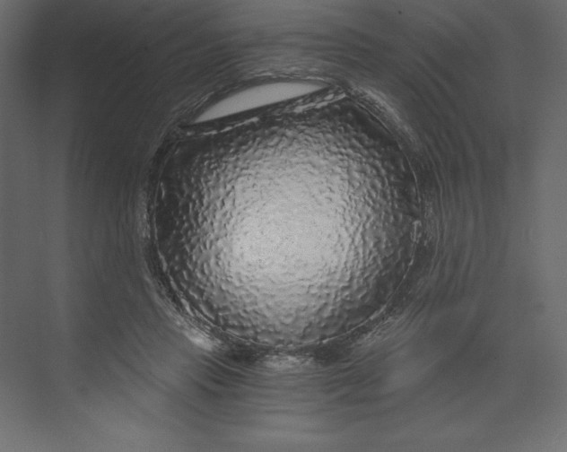 X0000073390453200608181008