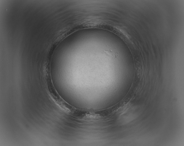X0000073390455200608181008