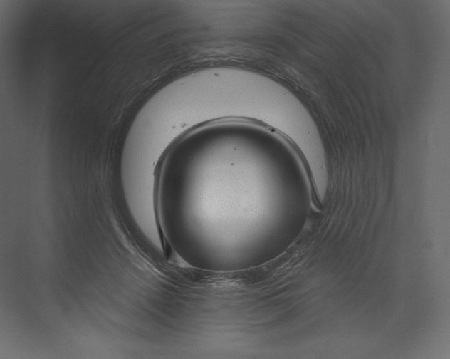 X0000073390456200608181008