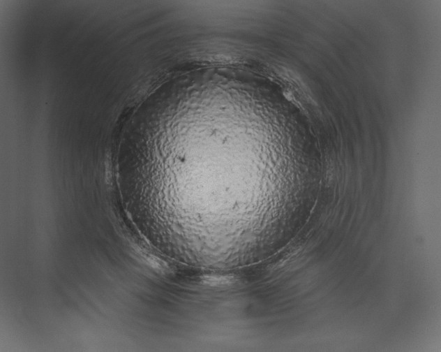 X0000073390457200608181008