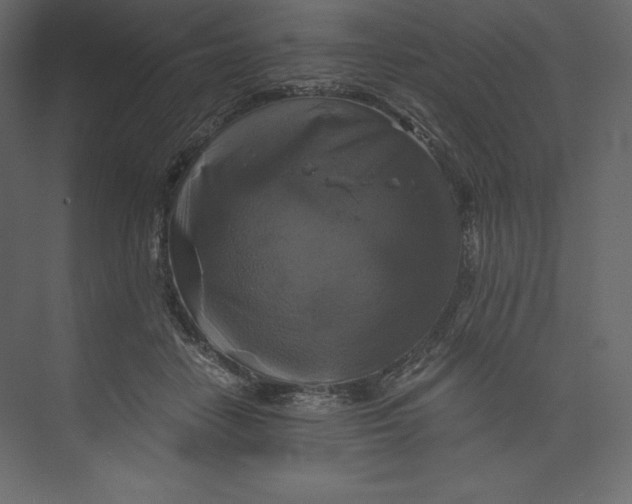 X0000073390458200608181008