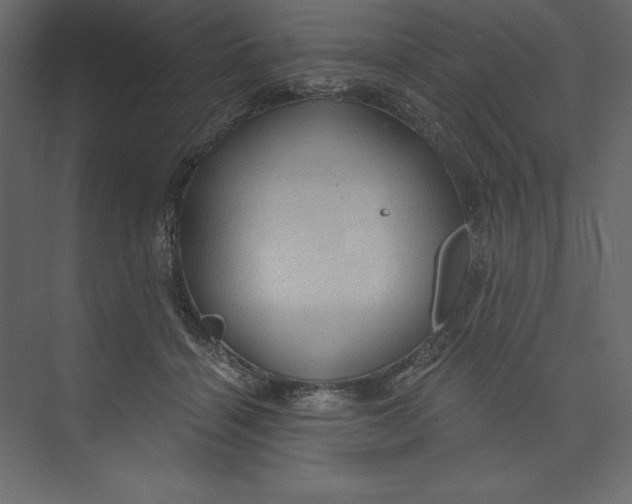X0000073390460200608181008