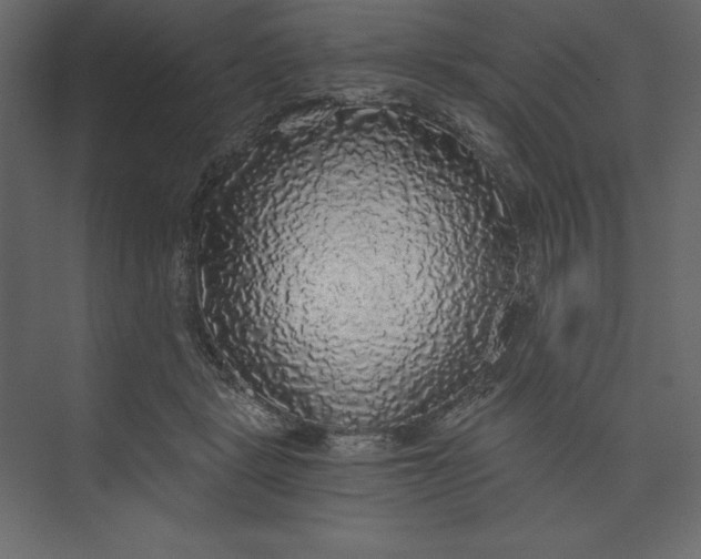 X0000073390461200608181008