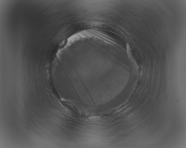 X0000073390462200608181008