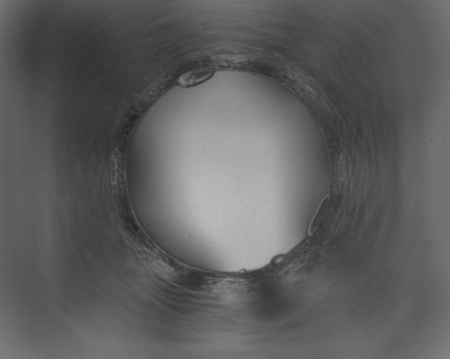 X0000073390463200608181008