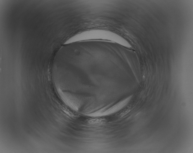 X0000073390465200608181008
