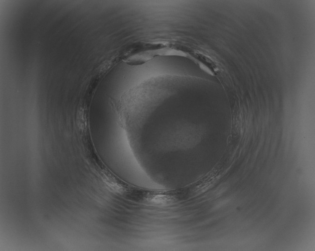 X0000073390467200608181008