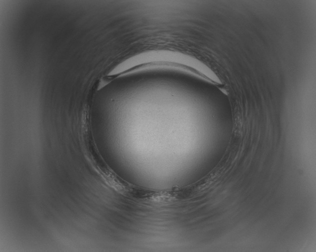 X0000073390468200608181008