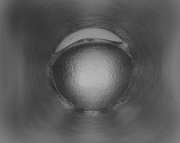 X0000073390469200608181008