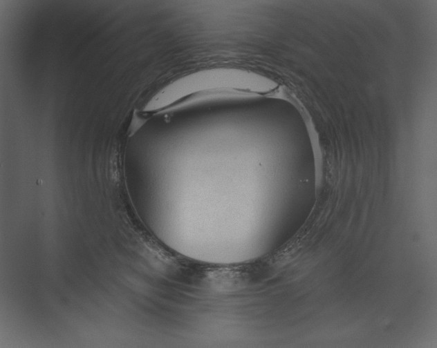X0000073390470200608181008