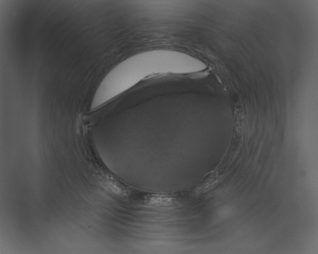 X0000073390471200608181008