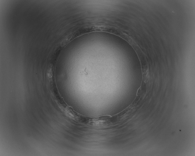 X0000073390472200608181008