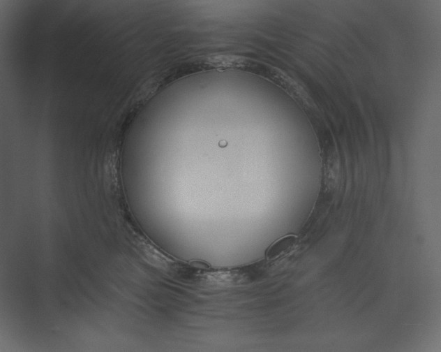 X0000073390473200608181008