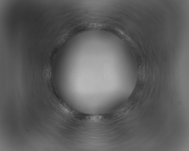 X0000073390474200608181008