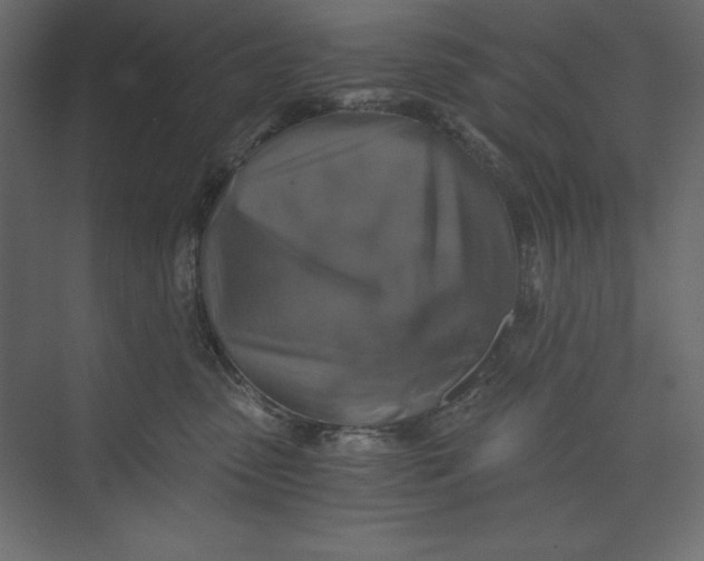 X0000073390475200608181008