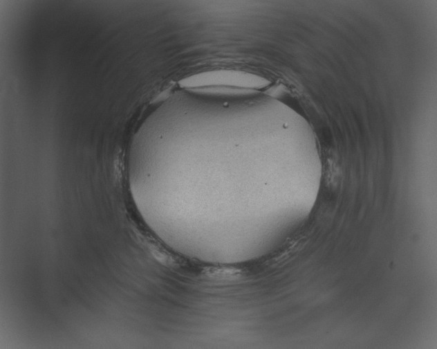 X0000073390476200608181008