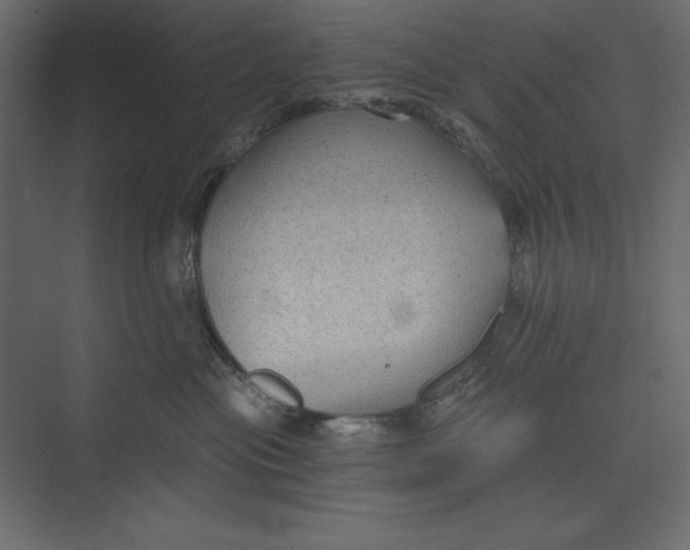 X0000073390477200608181008
