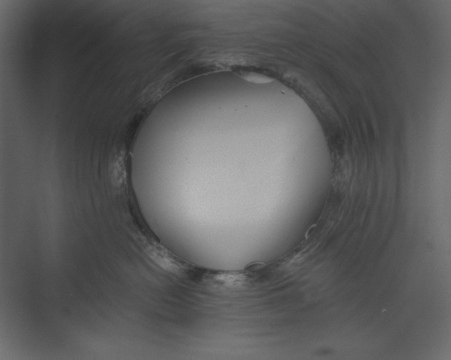 X0000073390478200608181008