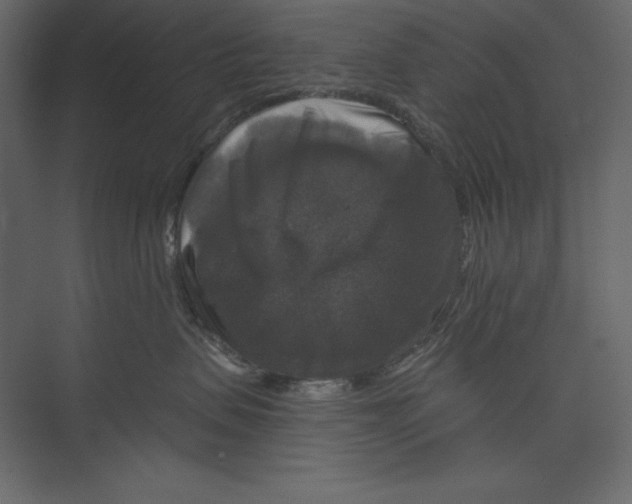 X0000073390479200608181008