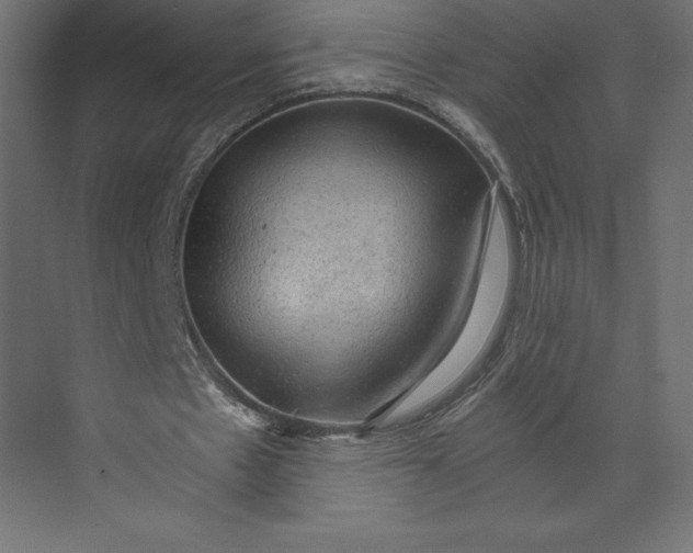 X0000073390481200608181007