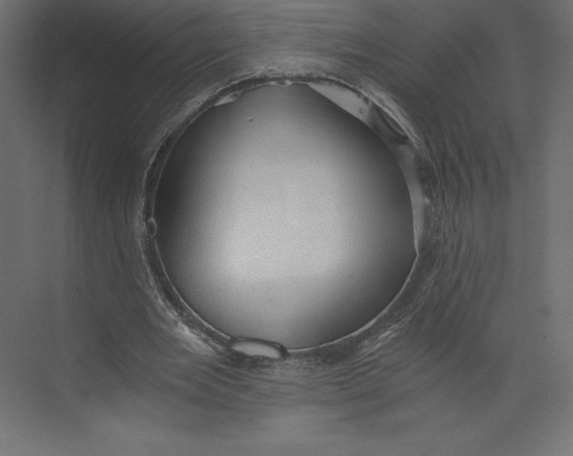 X0000073390485200608181007