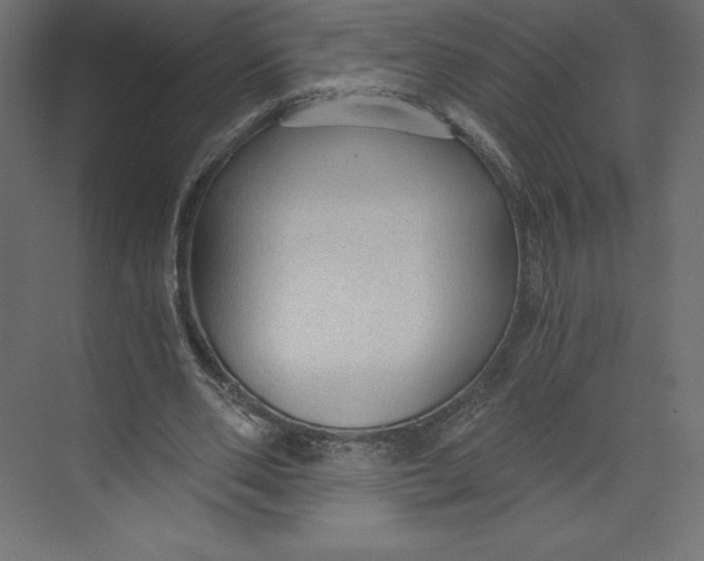 X0000073390486200608181007