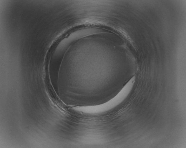 X0000073390488200608181007