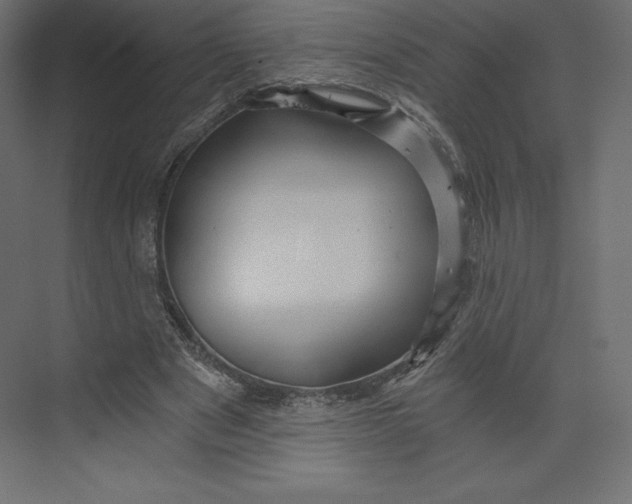 X0000073390489200608181007