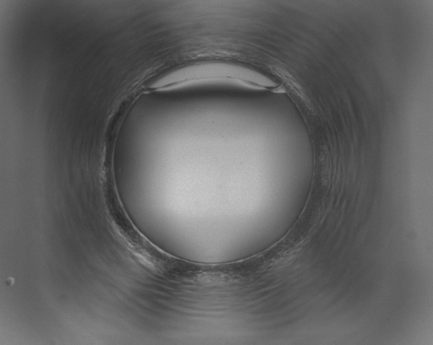 X0000073390490200608181007