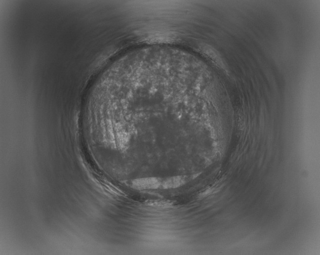 X0000073390491200608181007