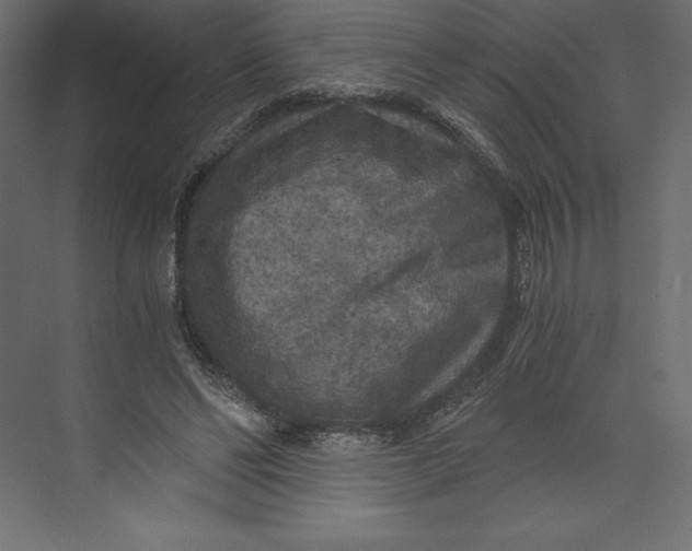 X0000073390494200608181007