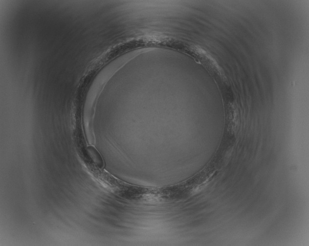 X0000073390496200608181007