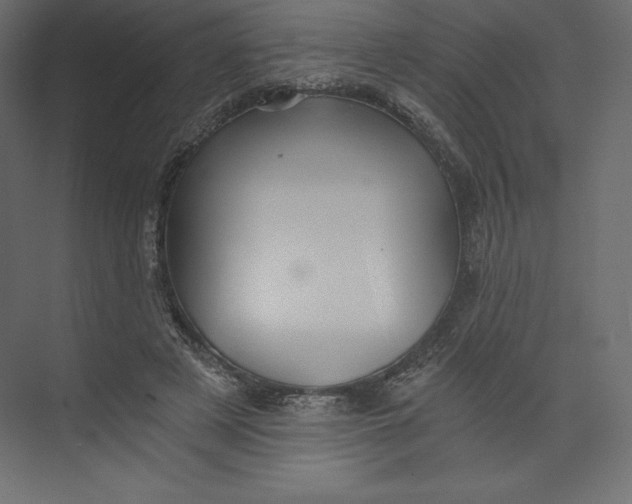 X0000073390497200608181007