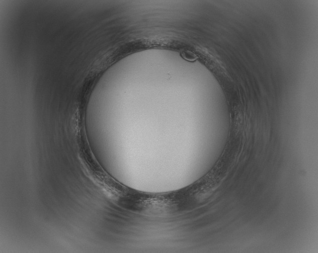 X0000073390498200608181007