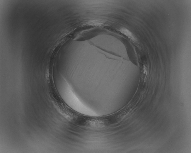 X0000073390500200608181007