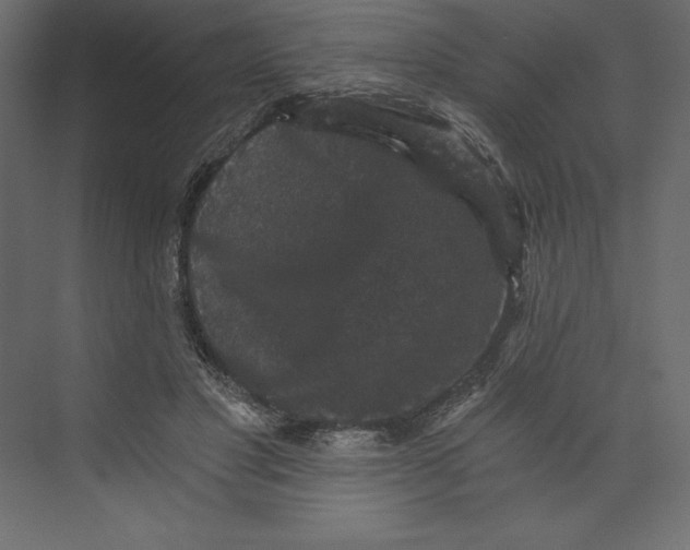 X0000073390501200608181007