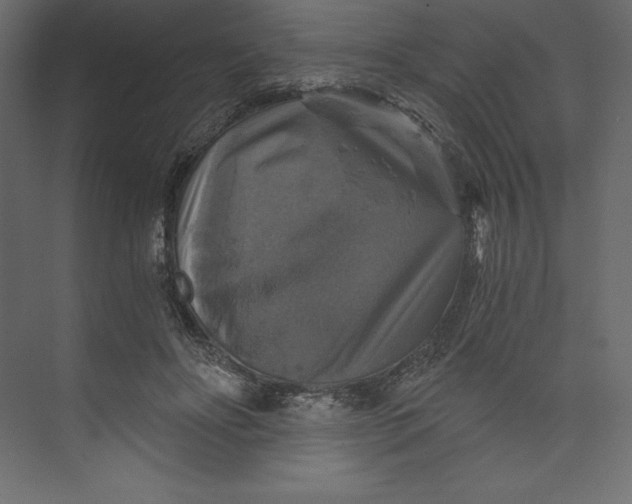 X0000073390502200608181007